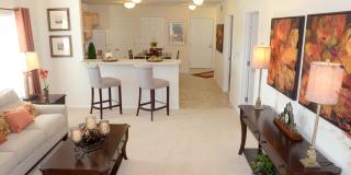 Redwood Valley City Gallery 8