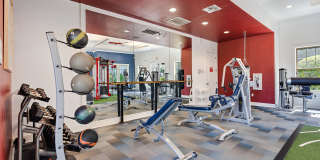 Citra at Windermere Gallery 25