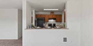 River View Collection Gallery 37