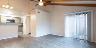 Lion Tempe Gallery 5