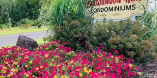 384 Concord Lane Gallery 1