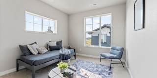 Mangold831 (KC-LN) Gallery 38
