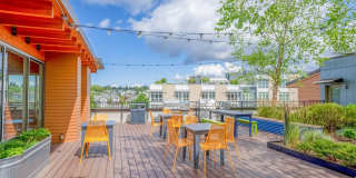 AMLI Mark24 Gallery 1