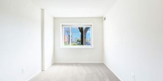 Orchard Square Gallery 17