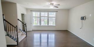 5004 FOREST PINES Drive Gallery 9