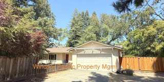Remodeled one story home in highly desirable Alamo with huge park like yard ! Gallery 1