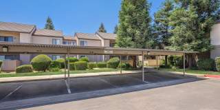 Renaissance Apartments - Affordable Housing Gallery 24