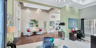 Annapolis Bay Gallery 14