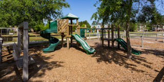 Atlantic Palms Gallery 20