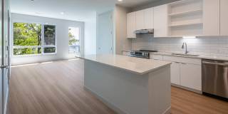 The Basin Gallery 85