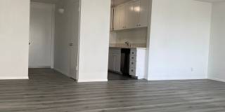 t1045 Gallery 1