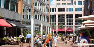 Harrison at Reston Town Center Gallery 50