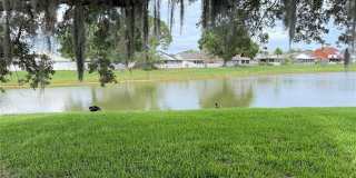 72 LAKEPOINTE Circle Gallery 2