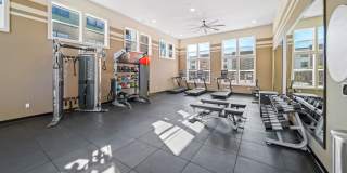 Emblem Renata Gallery 22