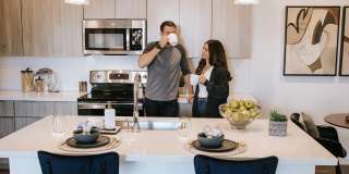 The Aster at Mountain Vista - BRAND NEW Gallery 44