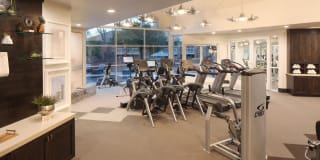 Carriage Place Gallery 15