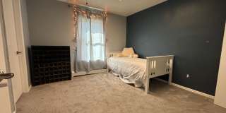 Don't miss this beauty in Fruita CO! Don't miss this beauty in Fruita CO! Gallery 15