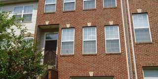 21477 RUSTY BLACKHAW Square 21477 RUSTY BLACKHAW Square Gallery 3