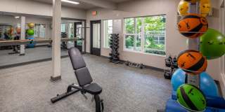 Canyon Park Gallery 21