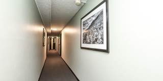 780 Dexter Gallery 7