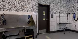 AMLI Redmond Way Gallery 17