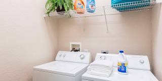 Vista Lake Ned Gallery 19