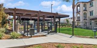 Arrive Temecula Gallery 36