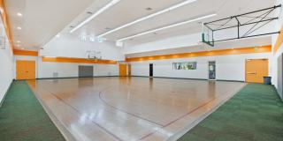 Victoria Place Gallery 75