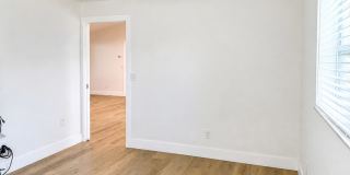 Updated 2/2/1 Home in Northeast St. Petersburg! Gallery 23