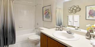 Lionsgate Apartments Gallery 13