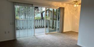 King City Gallery 16