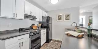 The Meadows Gallery 22