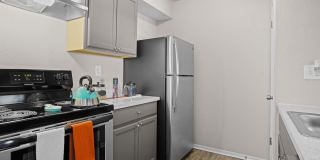 Diamond Lake Gallery 1