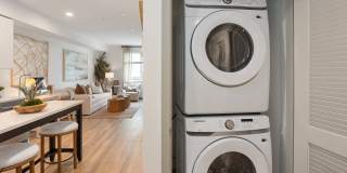 Alta Westwind Gallery 28