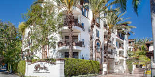 Palazzo East Gallery 19