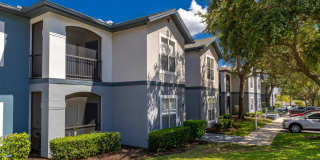 Elevate 155 Gallery 33