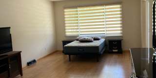3 Bedrooms One Floor Ranch House with 2 car attached garage in Lyndhurst Gallery 27