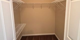 2416 Camryn's Crossing Gallery 12