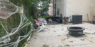 1609 Sydenham Gallery 48