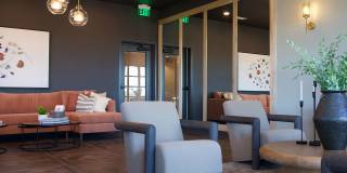 Novel Cary Gallery 48