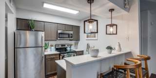 Tenison at White Rock Gallery 5