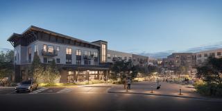 The Col Apartments Gallery 1