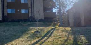 9152 S JEFFERSON Pl unit: 18 B Gallery 1