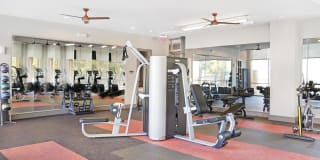 Jones & Rio Jones & Rio Gallery 51