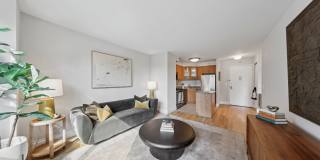 The Capitol The Capitol Gallery 1