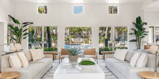 Coconut Palm Club Gallery 15