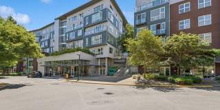 Riverpark Gallery 25