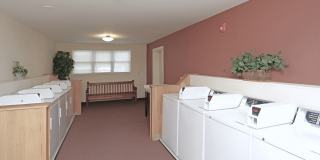 Hampshire Gallery 11