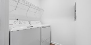 Avana Lexington Gallery 10