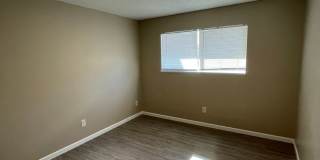 The Pines Apartments Gallery 18